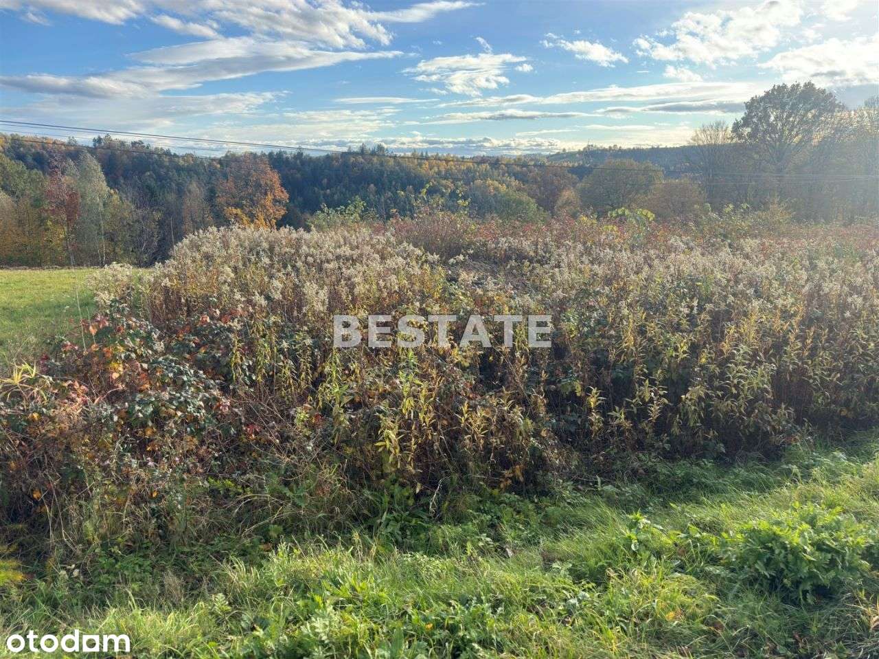 Działka pod mały domek - Pełny obrazek: 4/8