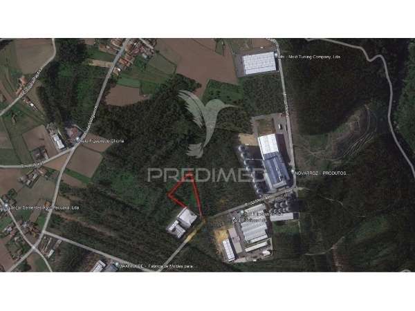 Terreno Urbano, Loureiro, Oliveira de Azemeis - Grande imagem: 4/4