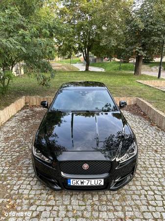 Jaguar XE 2.0 D R-Sport - 14