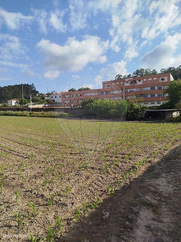 Terreno  para venda - Grande imagem: 4/8