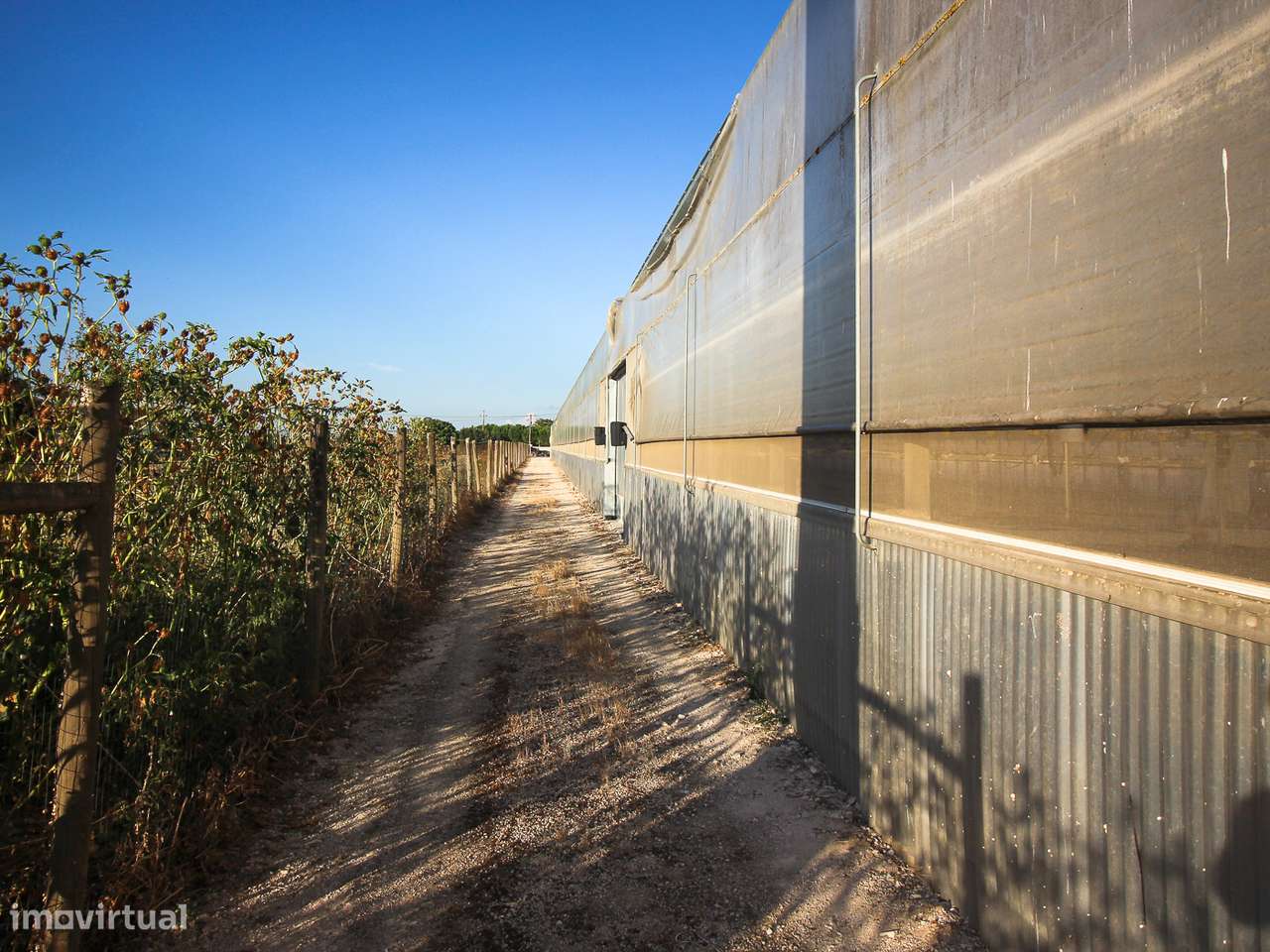 Estufa de produção para Horticultura e Floricultura - Grande imagem: 5/13