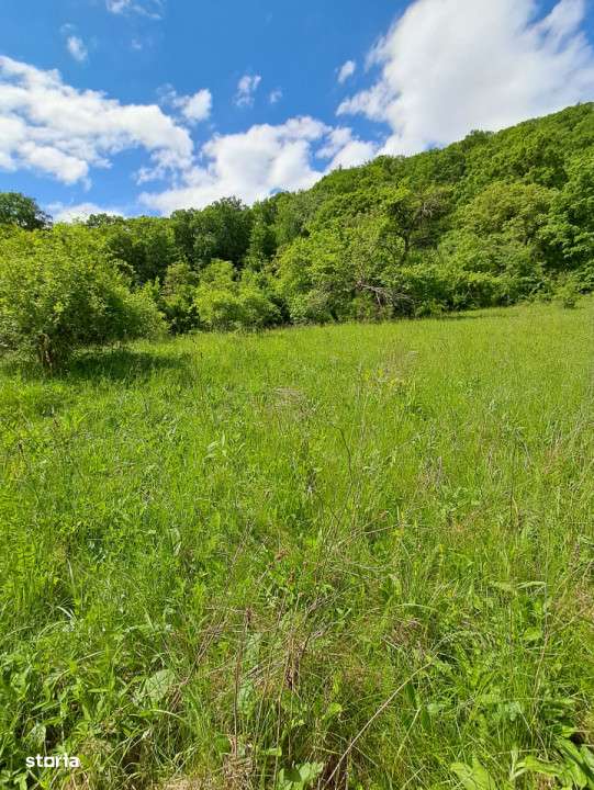 Teren de vanzare in Vii,  Podul Olt-2