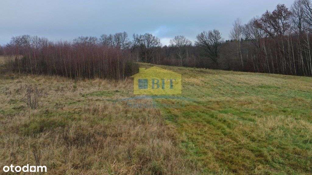 Działka 1,1041 ha nad jeziorem Ostrowiec-15