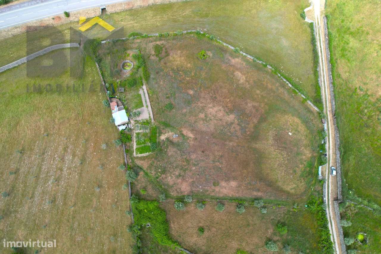 Quinta  Venda em Alcains,Castelo Branco - Grande imagem: 3/30