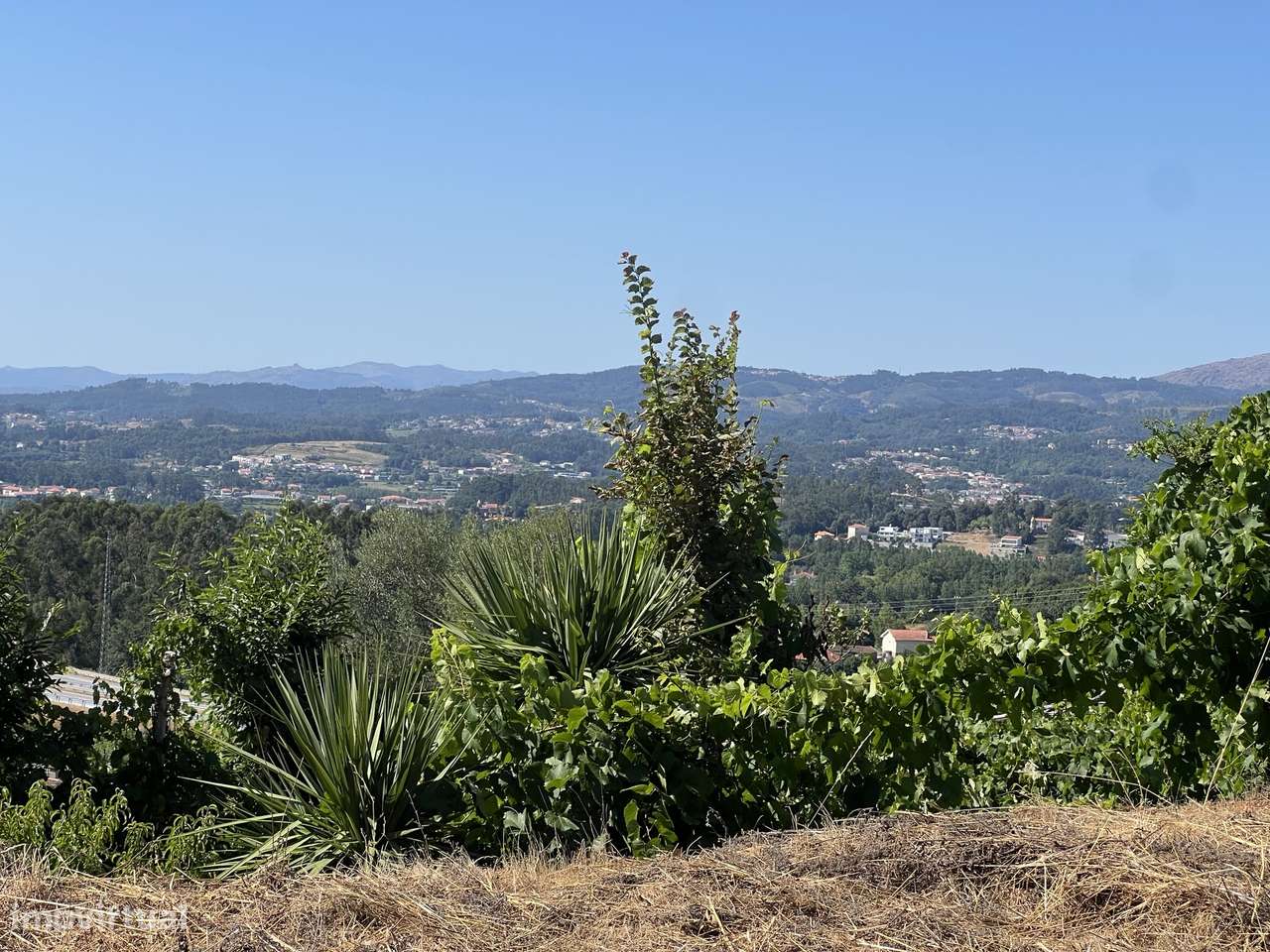 Terreno para construção em Quinchães - Grande imagem: 5/5