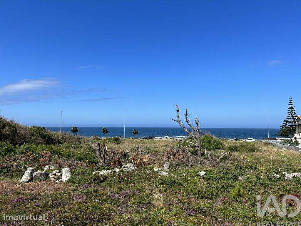 Terreno em Vila Praia de Âncora de 3300,00 m2 - Grande imagem: 5/11