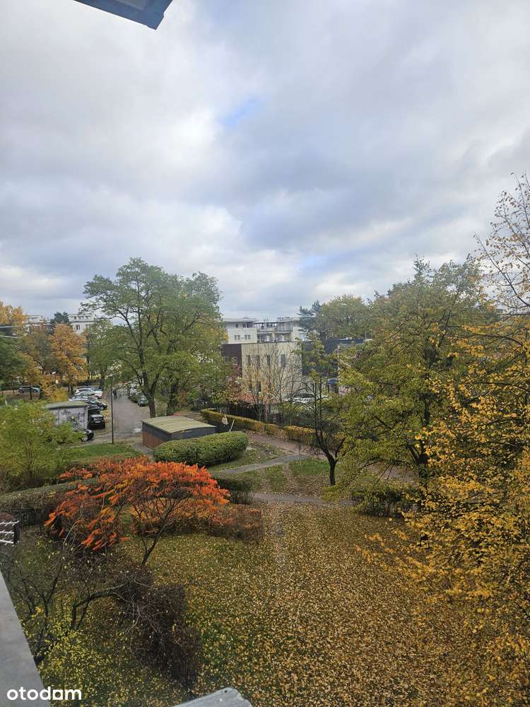 Kawalerka, Centrum!!!!!!!-8