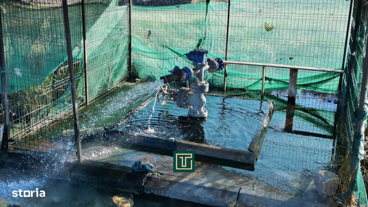 PUT GEOTERMAL NATURAL PE UN TEREN DE 36.476 MP IN SOCODOR, ARAD-4