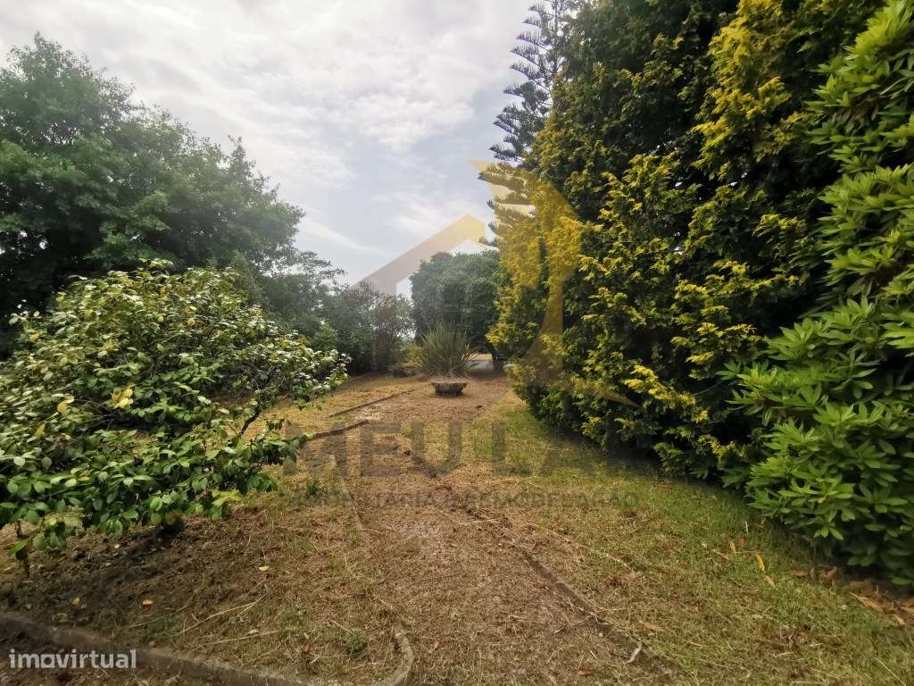 Quinta de Luxo-29