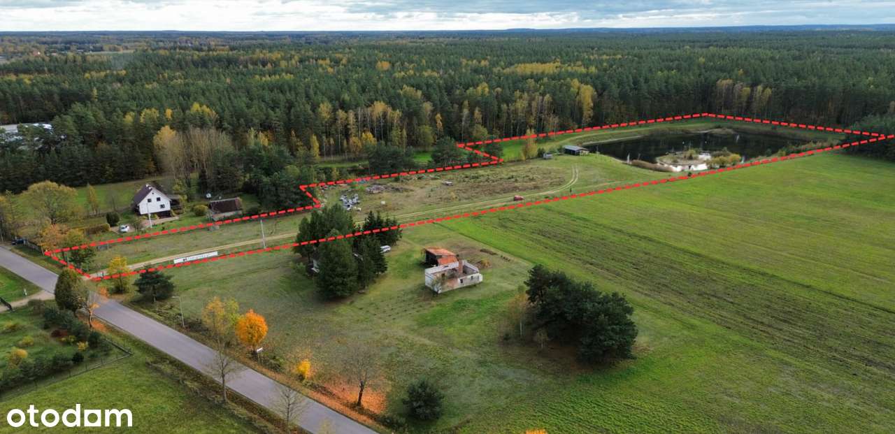 Łabędzi Zakątek – działka 3,12 ha ze stawem, mediami i szambem - Pełny obrazek: 4/20