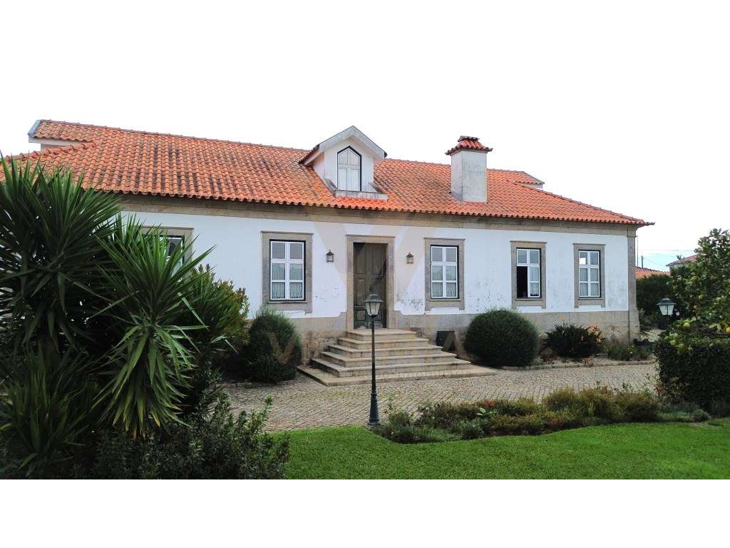 Quinta 12 000 m² - Correlhã - Ponte de Lima - Grande imagem: 4/44