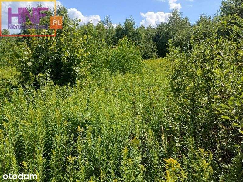Działka budowlana w Rożnowie 7ar - Pełny obrazek: 5/20