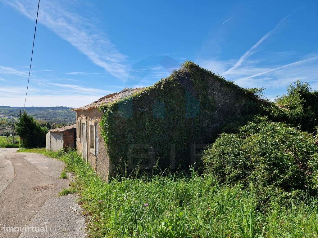 Ruína em Pedra para Recuperar - Pombal-2