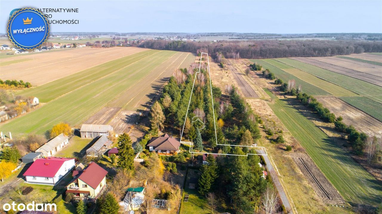 Działka budowlana w lesie 2km od Lublina