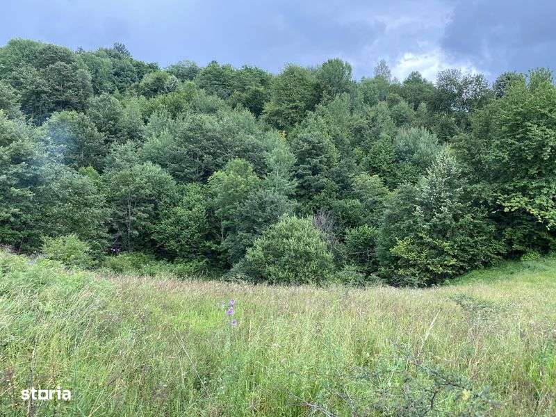 Vand teren Rosia zona Runcuri - Imagine principală: 5/8