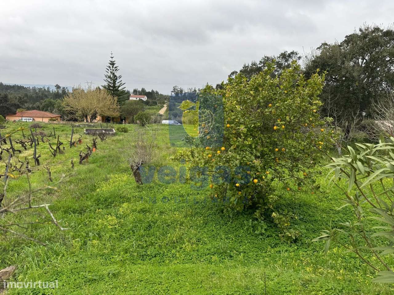Moradia T6 com Vista Campo em Averangel, Castelo do Bode, Tomar-46
