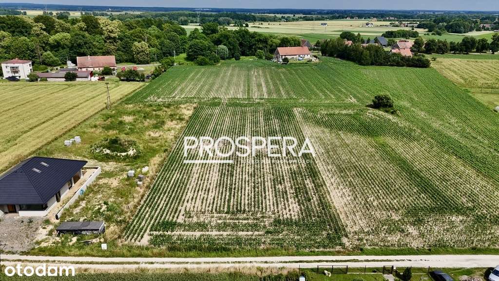 Działka rolna z możliwością zabudowy! - Pełny obrazek: 2/6