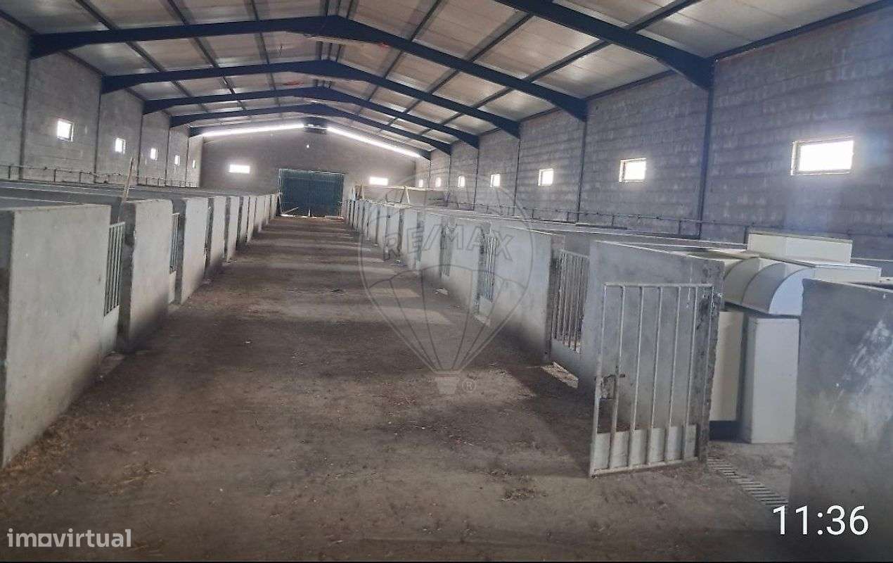 Armazém  para venda-7
