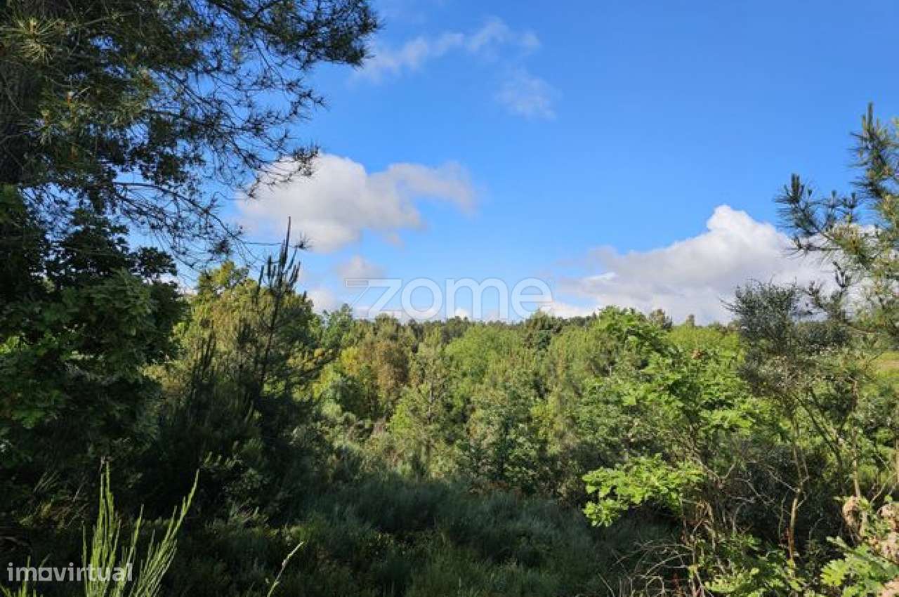 Terreno, 39 100 m², Favaios-7