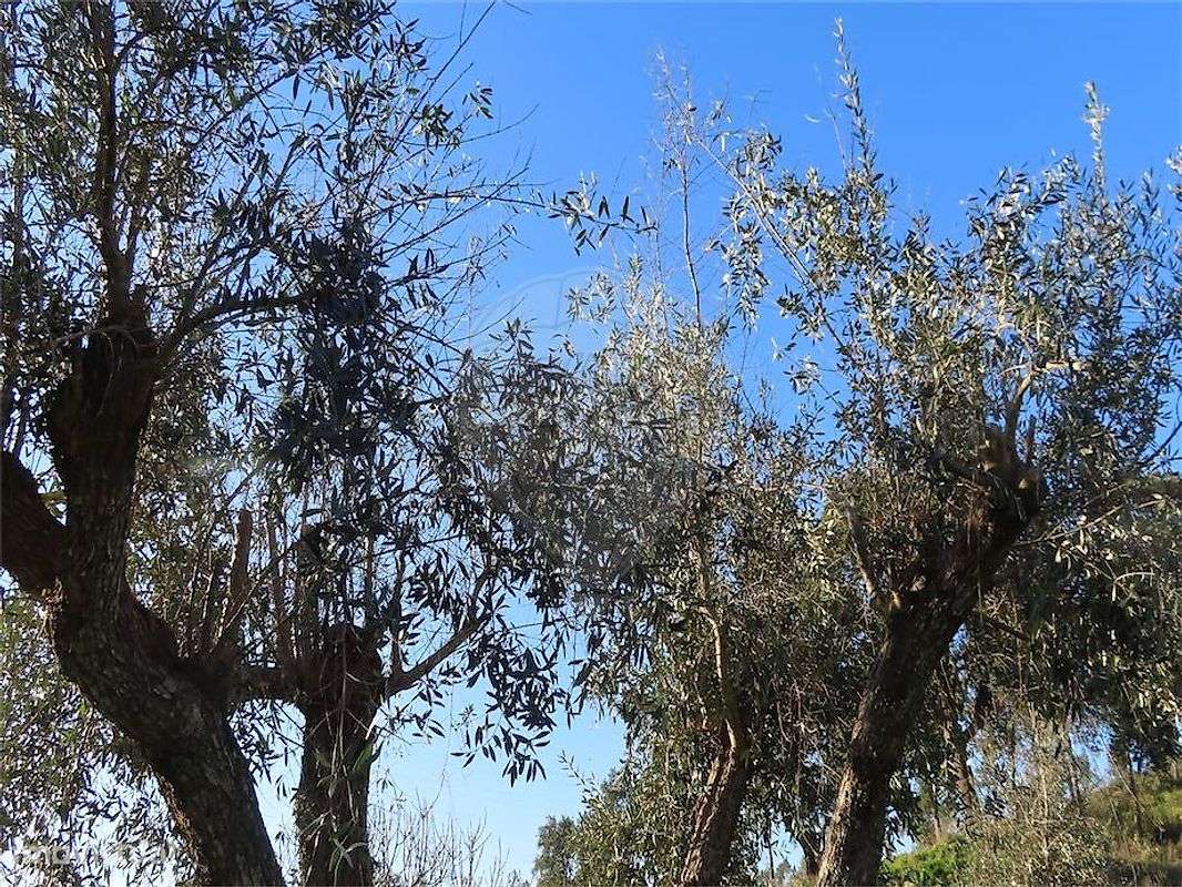 Moradia T3 para venda-28