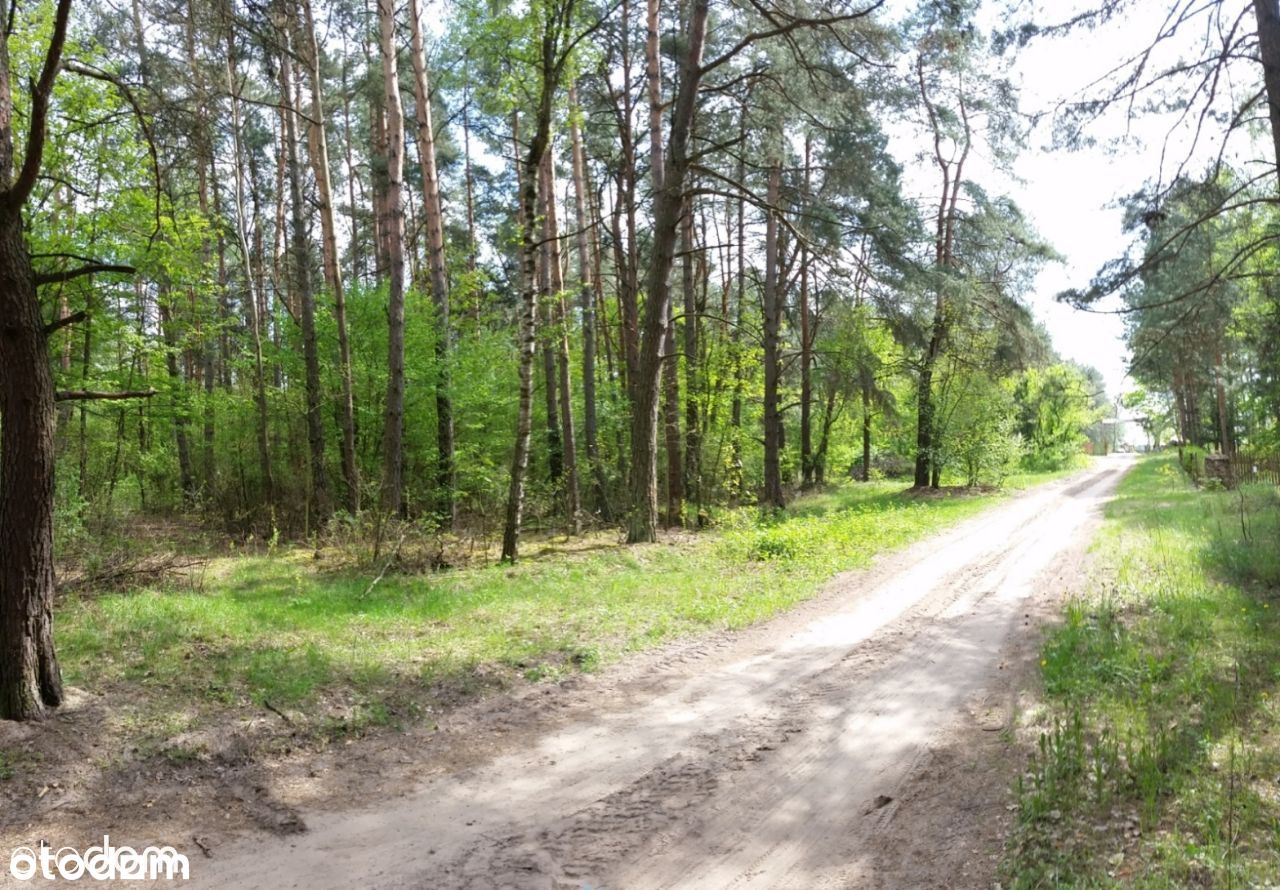 Działka nad Bugiem. Leśno-budowlana. Podlaskie.