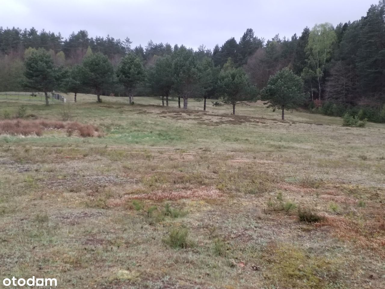 Działka budowlana Leśniewo