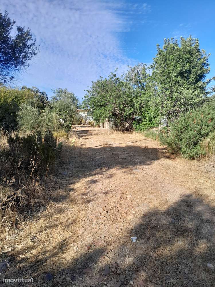 Moradia T3 C/ 10.000M2 Terreno C/ Furo-35