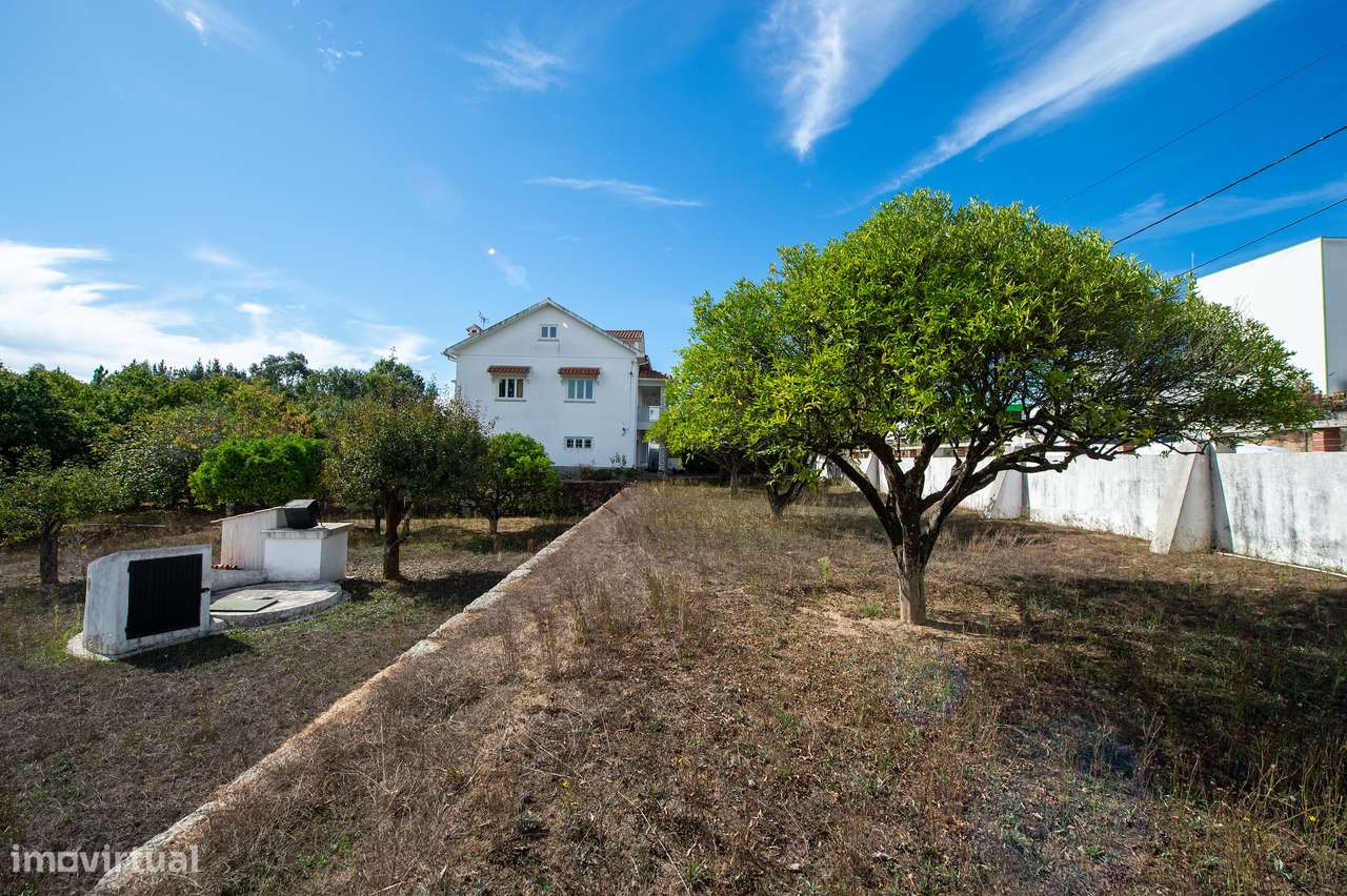 Quinta T6, Viseu, Santa Comba Dão, Santa Comba Dão e Couto do Mosteiro-44