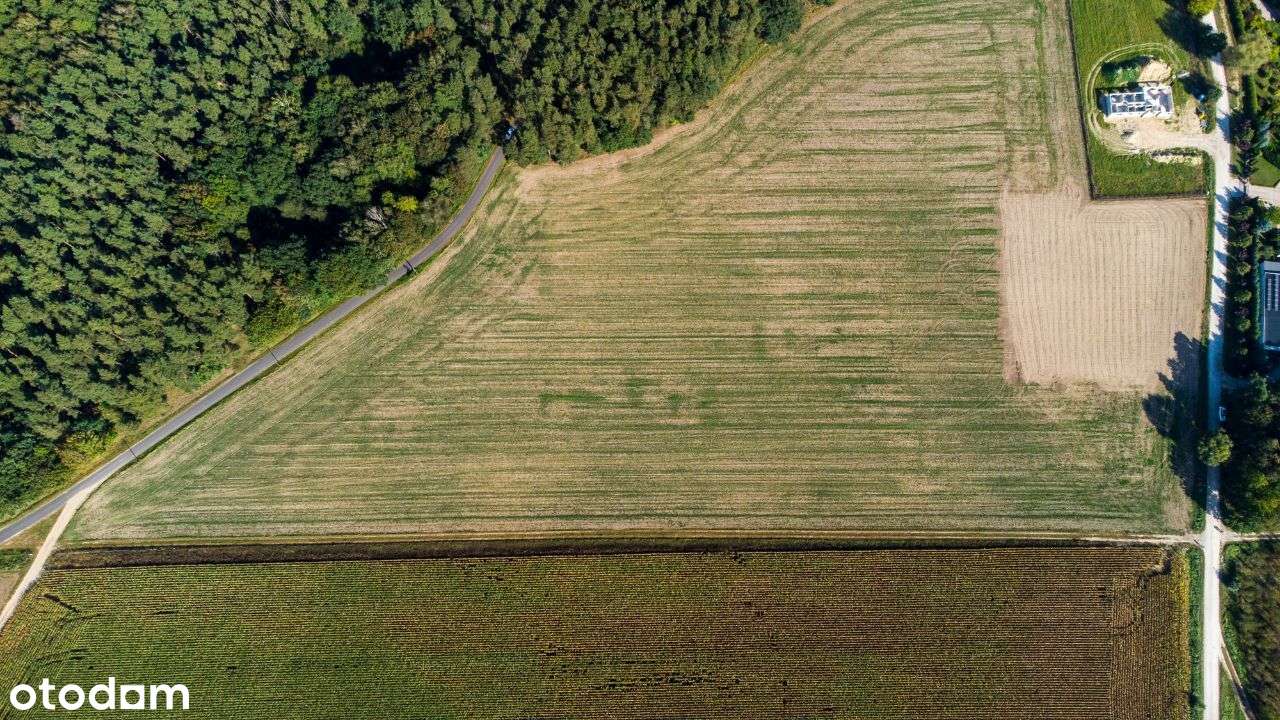 Działka budowlana - Lechlin - Pełny obrazek: 3/10