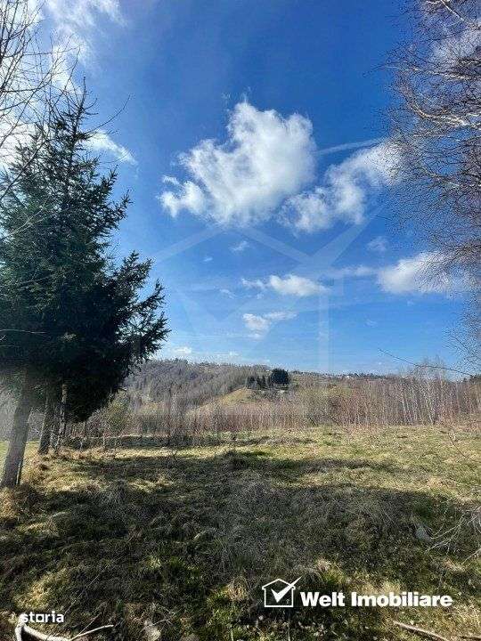 Teren cu panorama pentru cabana, Risca, Valea Fericirii - Imagine principală: 5/5