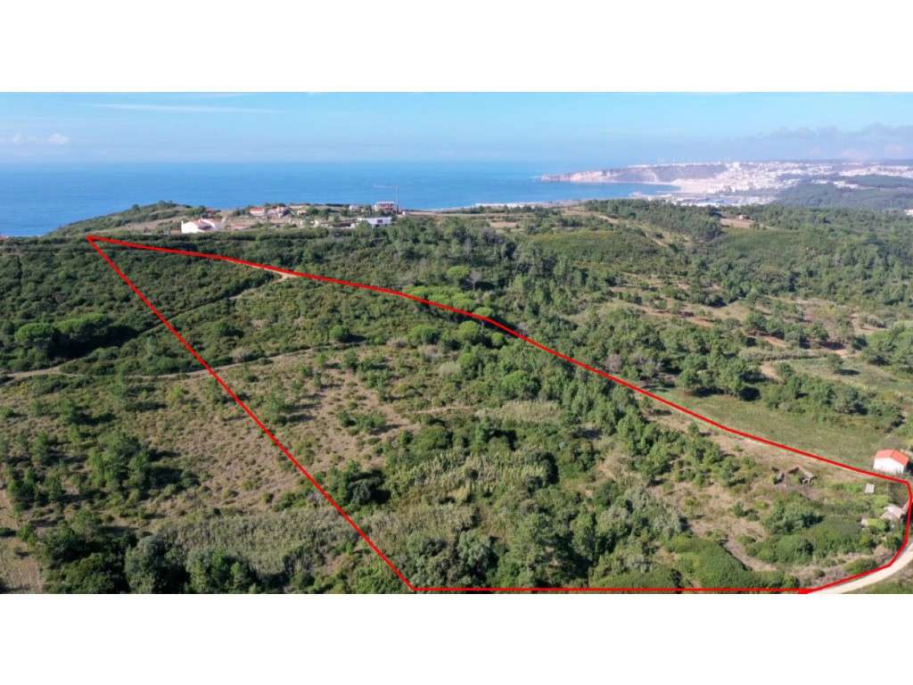 Terreno Misto na Serra da Pescaria - Grande imagem: 1/8