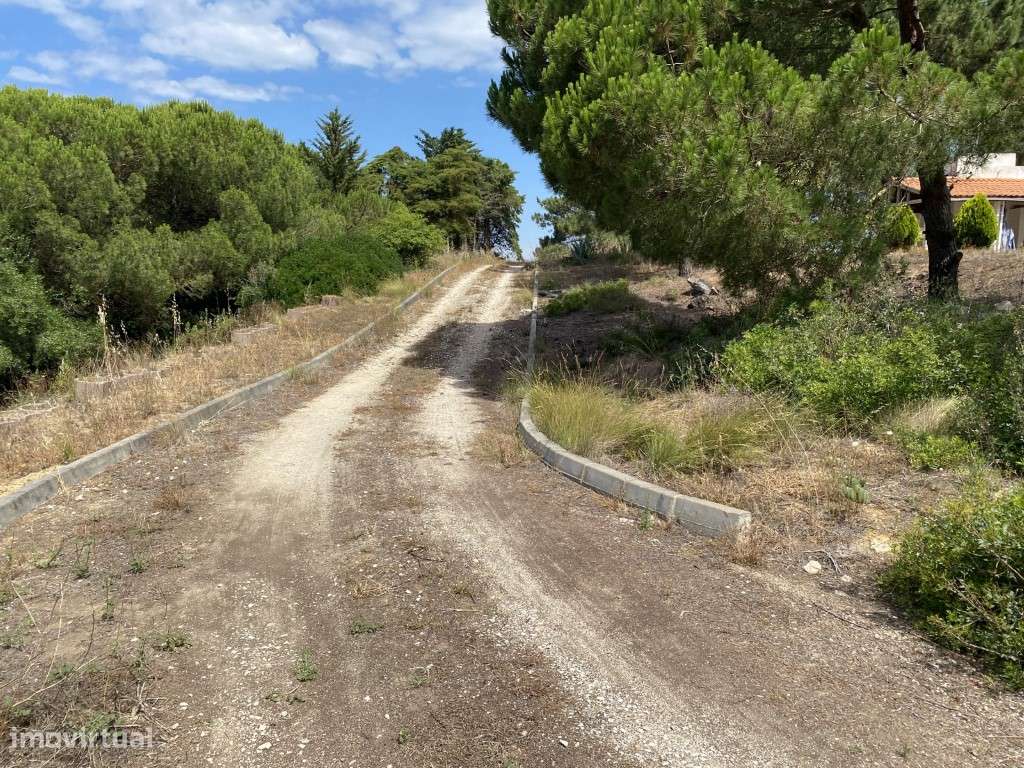 Terreno misto com 7000 m2 - Aldeia do Meco. - Grande imagem: 5/22