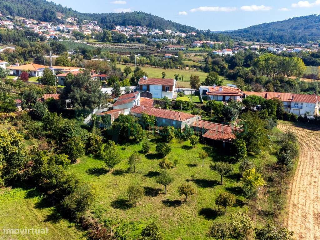 Magnífica Quinta T5 com 35.560m² a Apenas 10 Minutos do Centro de B... - Grande imagem: 5/60