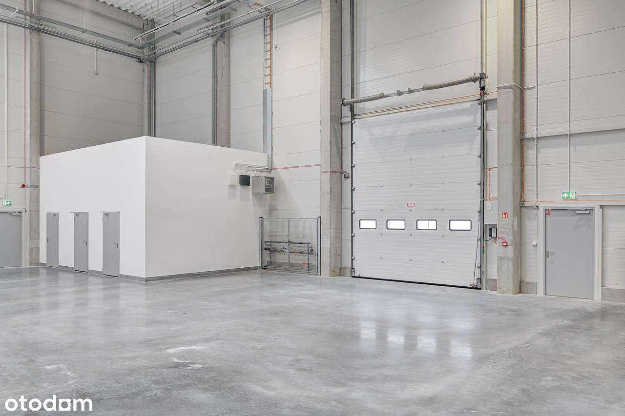 Na wynajem magazyn w Lesznowoli/ 2 694 m2 + 94 m2 biura - Pełny obrazek: 4/12