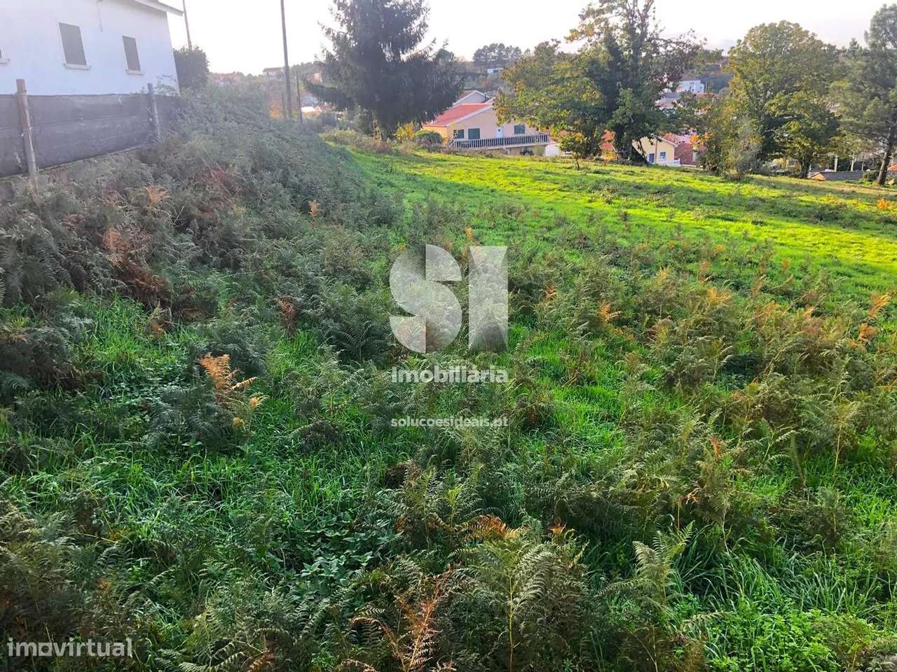 Terreno em Sabrosa - Grande imagem: 5/15