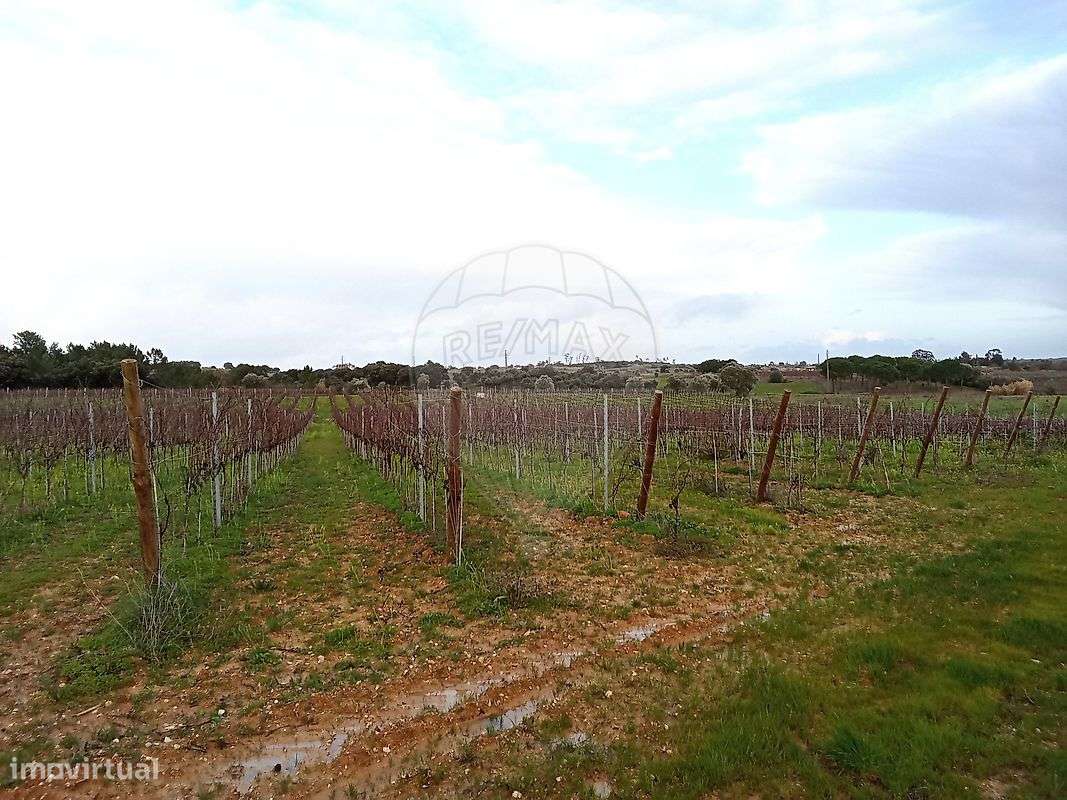 Terreno  para venda - Grande imagem: 5/23