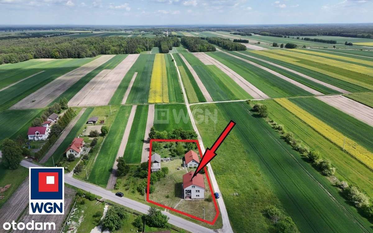 Nowa cena  / okazja / bez prowizji - Pełny obrazek: 5/8