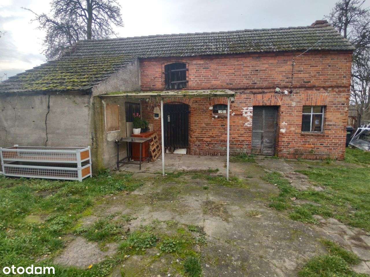 Dom, 63 m², Rogoźno-8