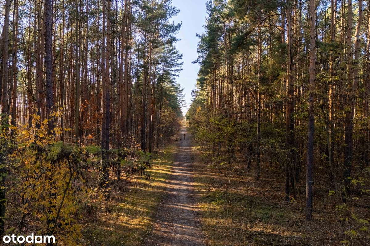 Ekskluzywna Działka pod Rezydencję w Radości - Pełny obrazek: 4/5