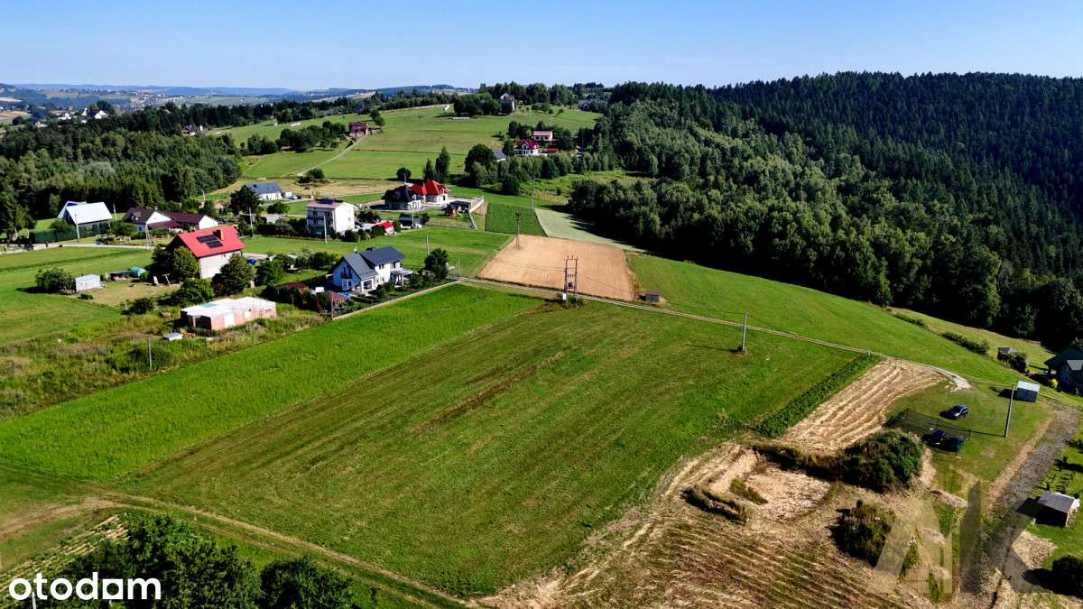 Widokowa działka w Paszynie gm. Chełmiec - Pełny obrazek: 5/18