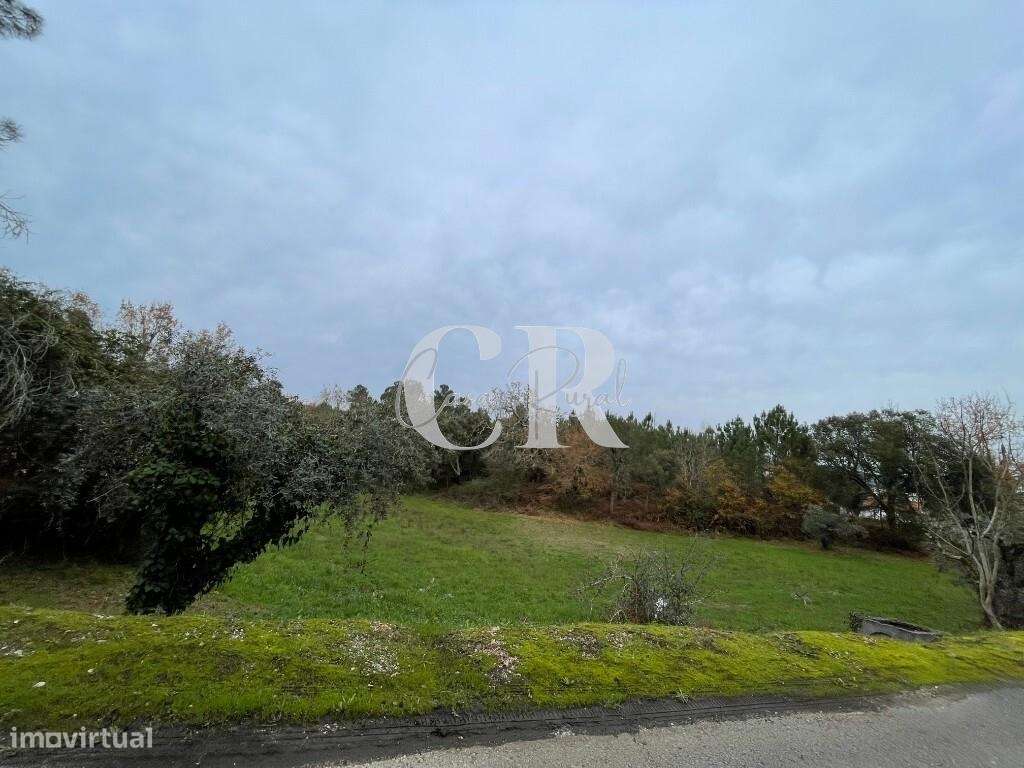 Terreno co  ruinas-9