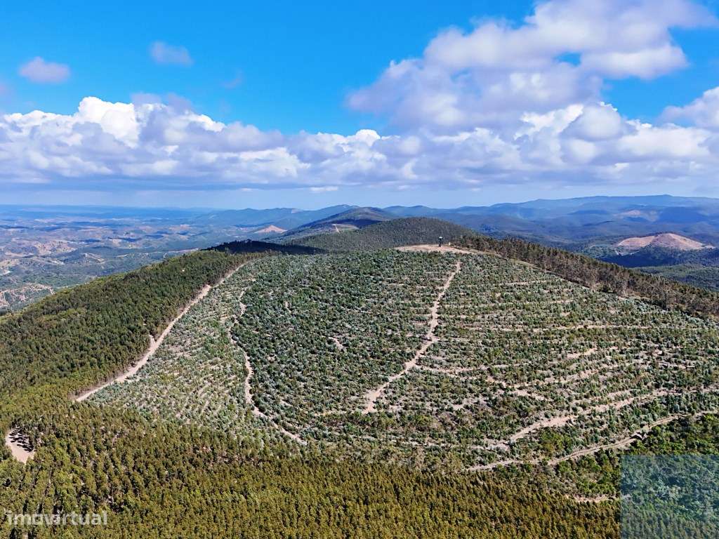 Terreno em São Teotónio, Odemira-2