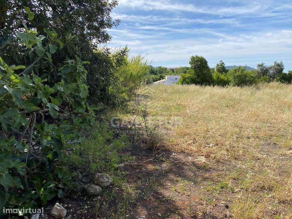 Terreno urbano com 4 947m2. Loulé, Algarve - Grande imagem: 2/16