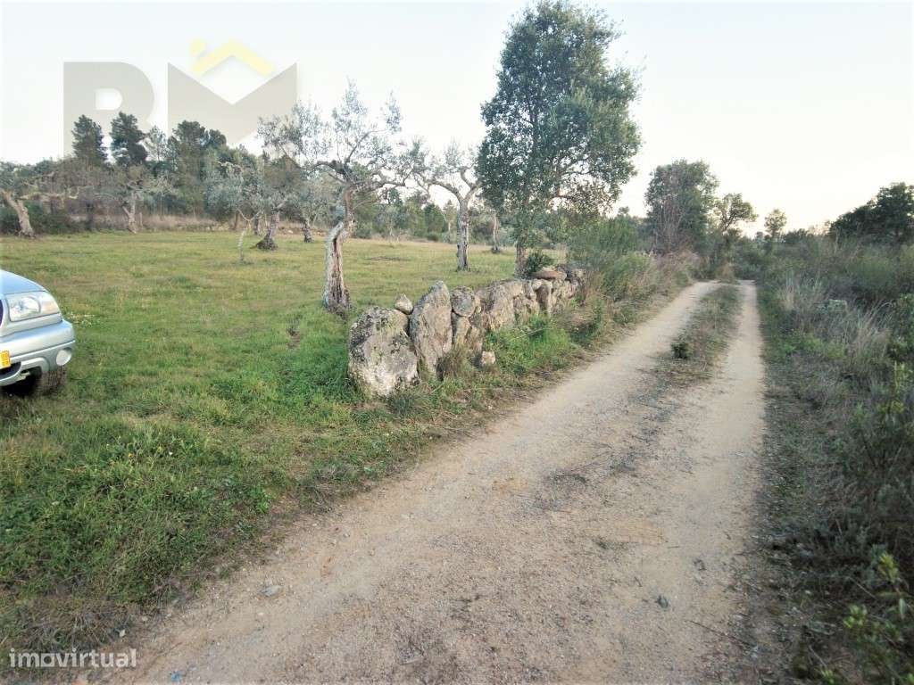 Quintinha em Palvarinho - Grande imagem: 5/26