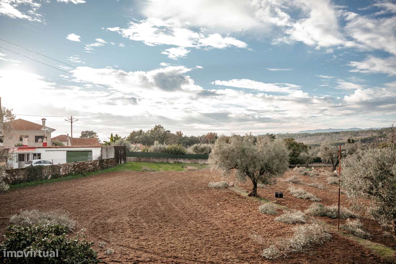 Oportunidade única: conforto, terreno e preço justo-13