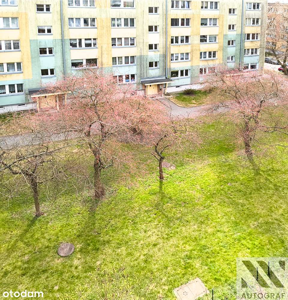 2 pokoje, 42,42 m2, osobna kuchnia i balkon – świetna lokalizacja!-19