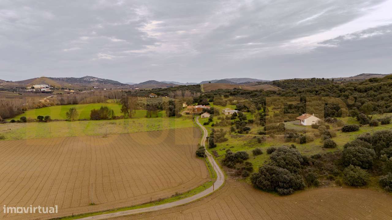 Quinta do Arieiro - Cedovim | Vila Nova de Foz Côa | Douro Superior-14