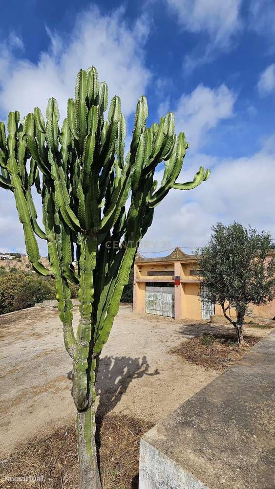 Propriedade rara, Elevado potencial de valorização, Algarve, Lagos, Pr - Grande imagem: 5/28