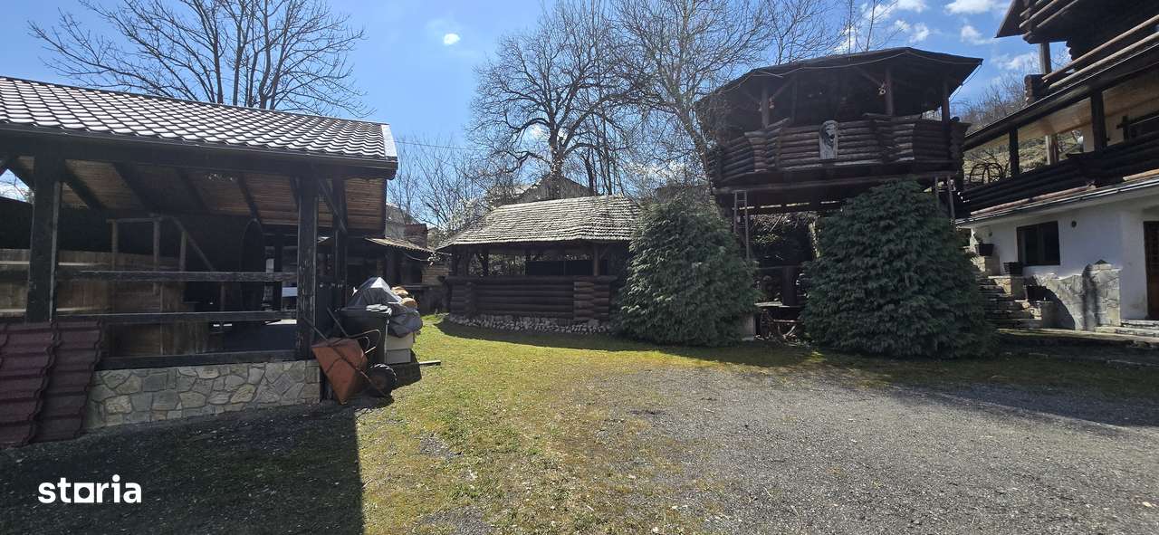 Vanzare Proprietate la poalele Muntilor Bucegi- Moroeni Dambovita-12