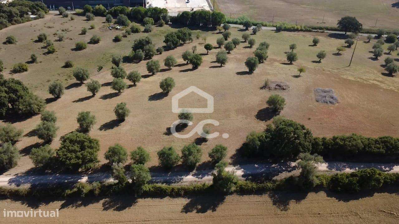 Terreno Rústico com 25.240 m² em Ferras, Gavata, Torres Novas – RAN-31